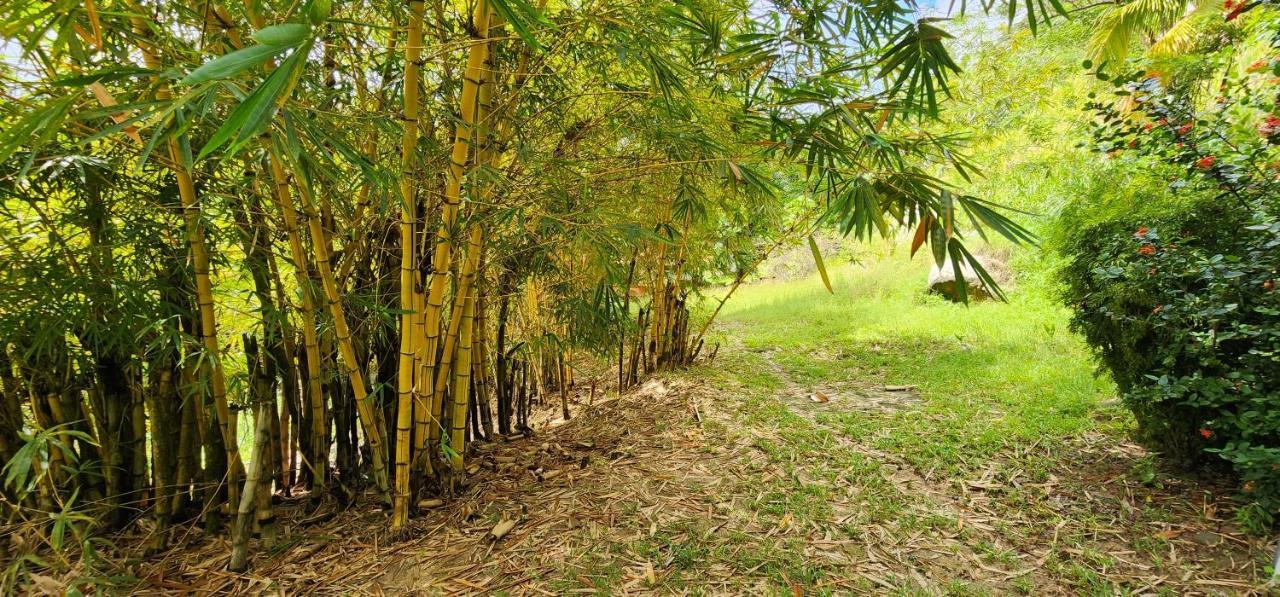 Hostel Finca La Gordita Calabazo  Ngoại thất bức ảnh