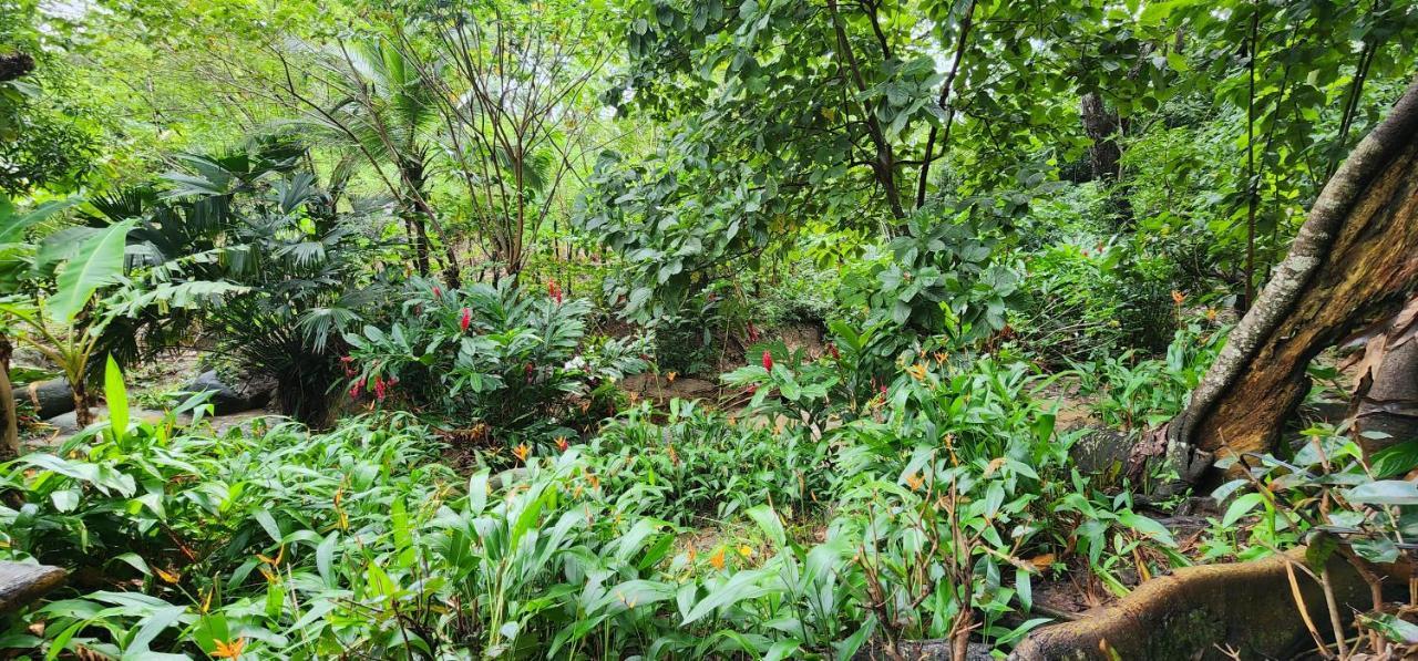 Hostel Finca La Gordita Calabazo  Ngoại thất bức ảnh