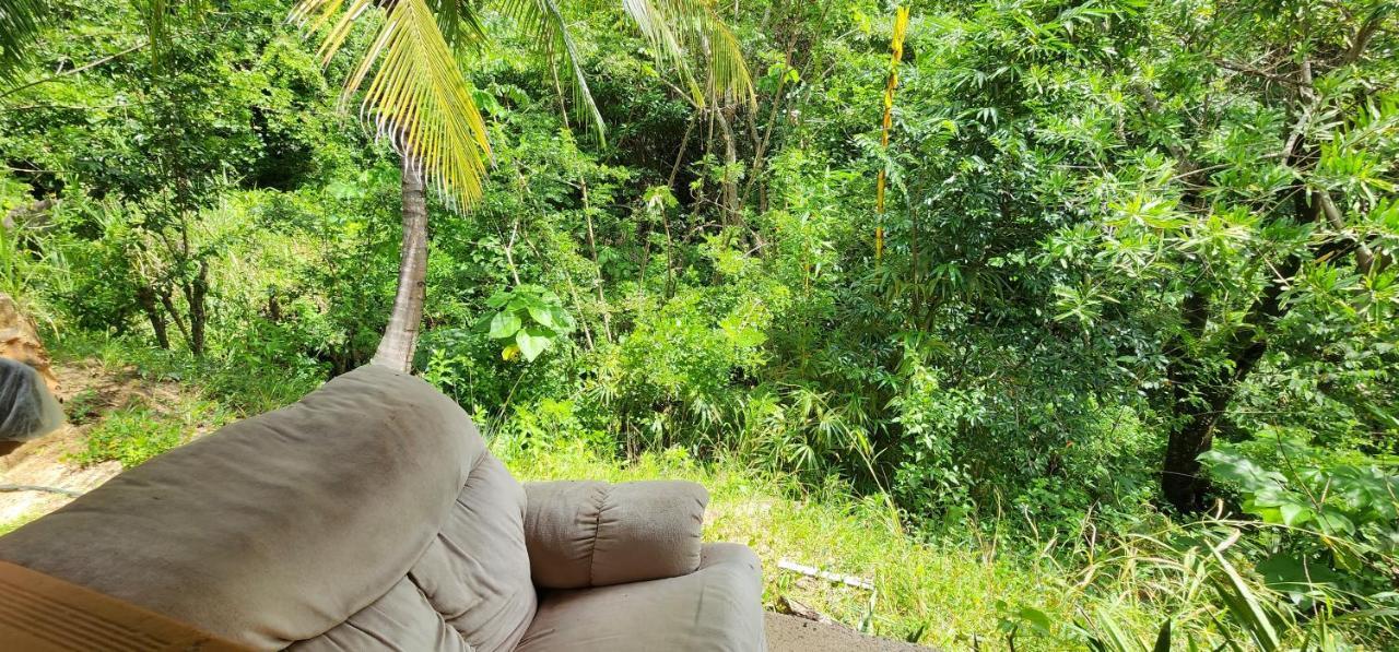 Hostel Finca La Gordita Calabazo  Ngoại thất bức ảnh