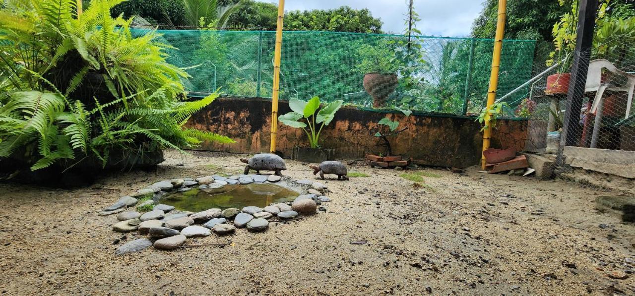 Hostel Finca La Gordita Calabazo  Ngoại thất bức ảnh