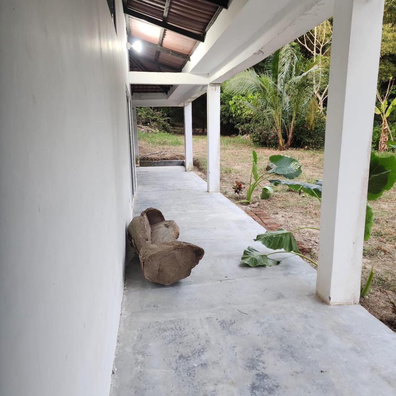 Hostel Finca La Gordita Calabazo  Ngoại thất bức ảnh