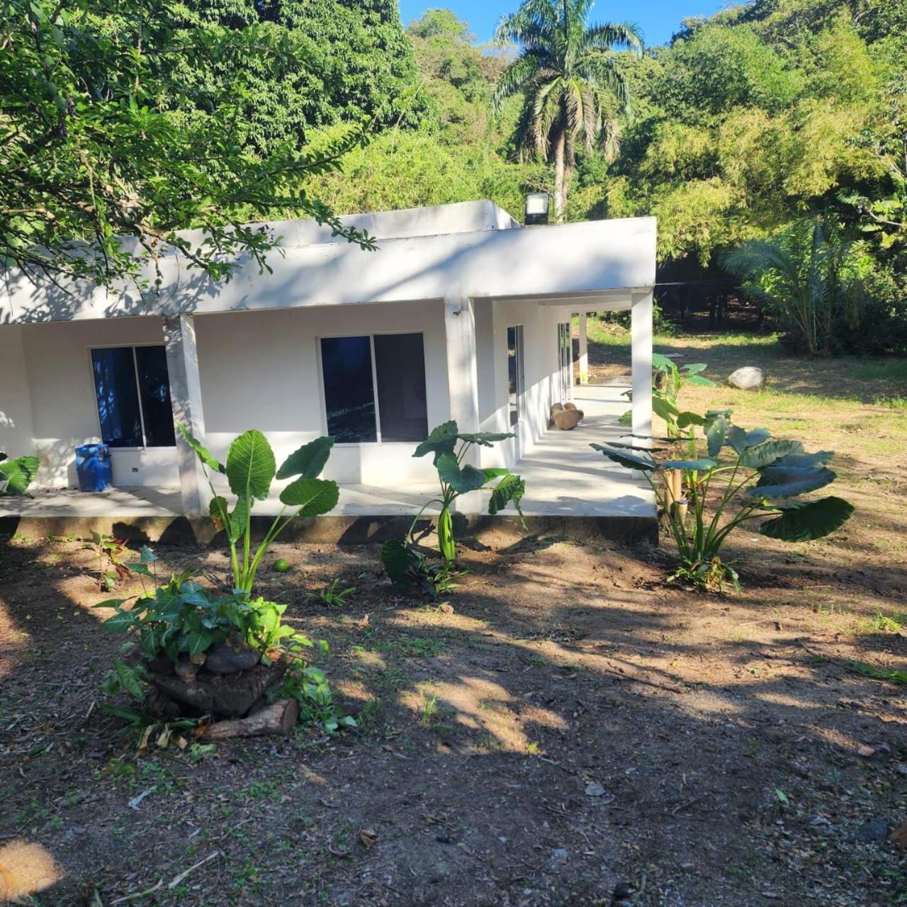 Hostel Finca La Gordita Calabazo  Ngoại thất bức ảnh