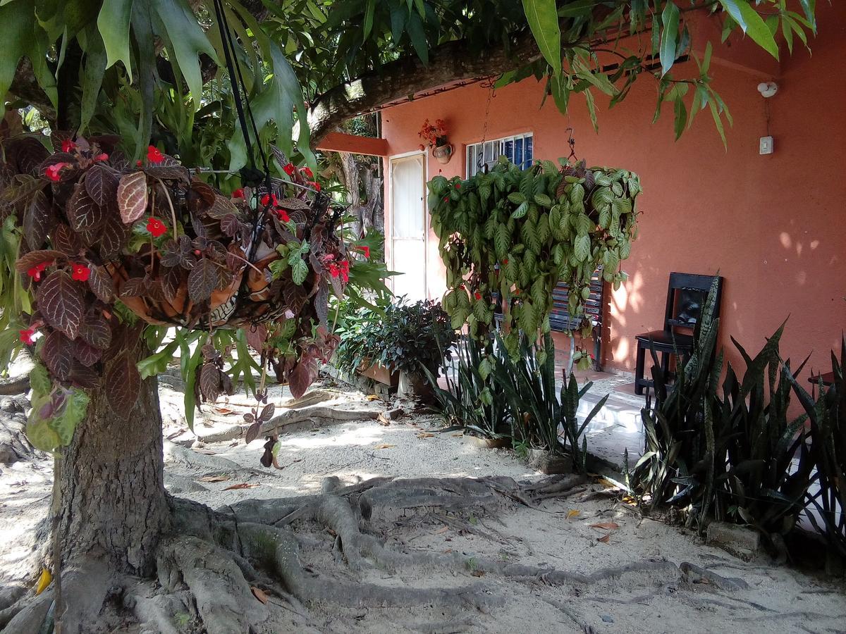 Hostel Finca La Gordita Calabazo  Ngoại thất bức ảnh