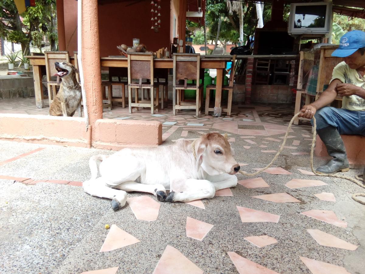 Hostel Finca La Gordita Calabazo  Ngoại thất bức ảnh