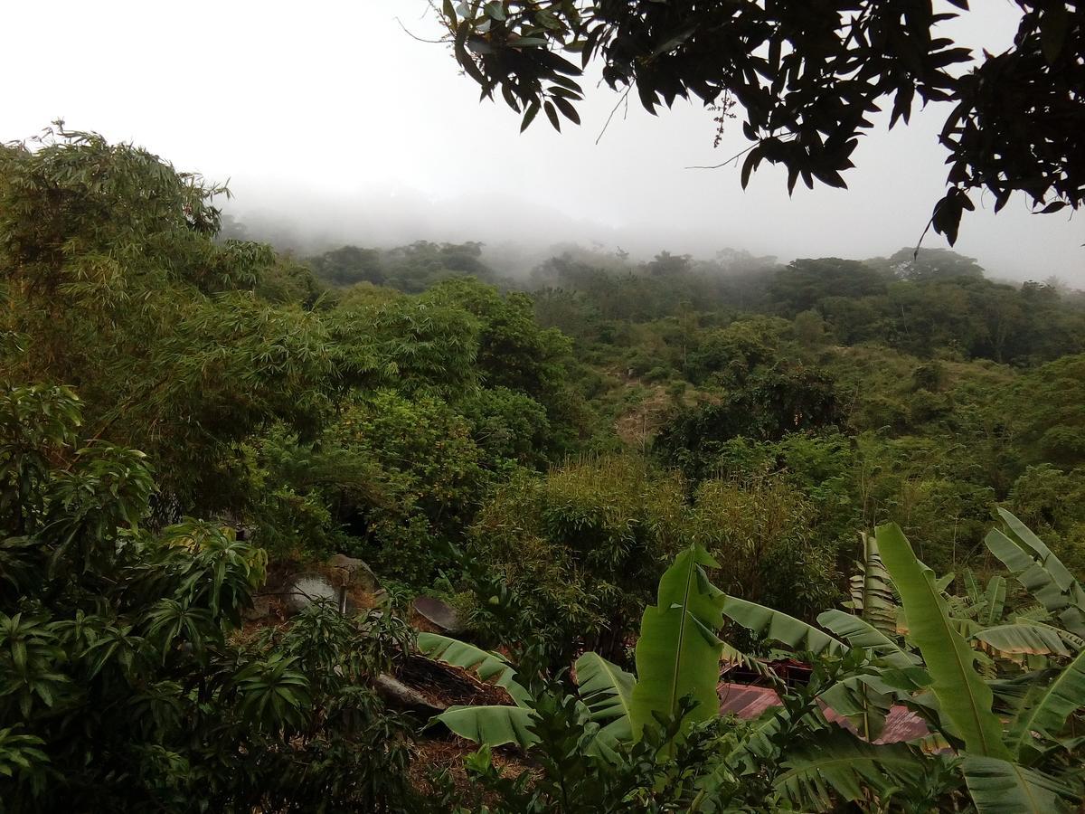 Hostel Finca La Gordita Calabazo  Ngoại thất bức ảnh